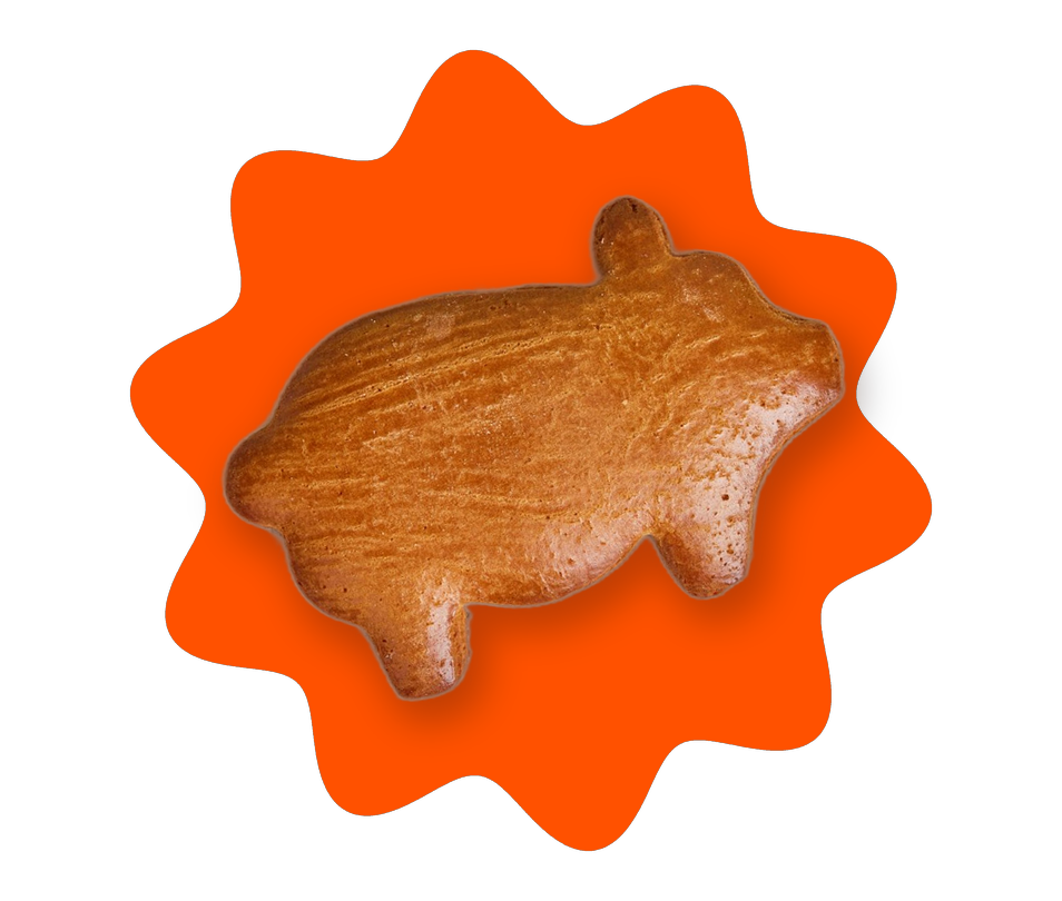 Cochinito